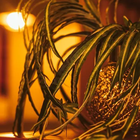 Apartmán Air Loft Soluň