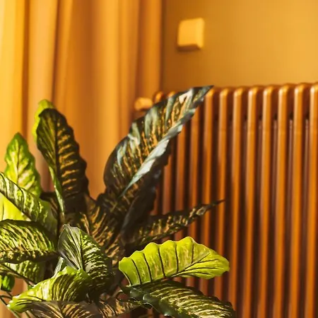 Apartmán Air Loft Soluň