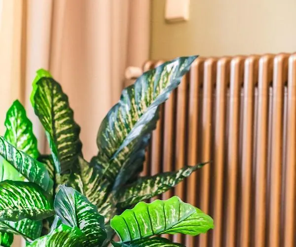 Air Loft Appartement *